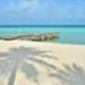 Meet your Posher, Wendileen